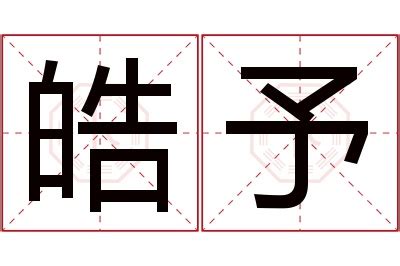 皓意思名字